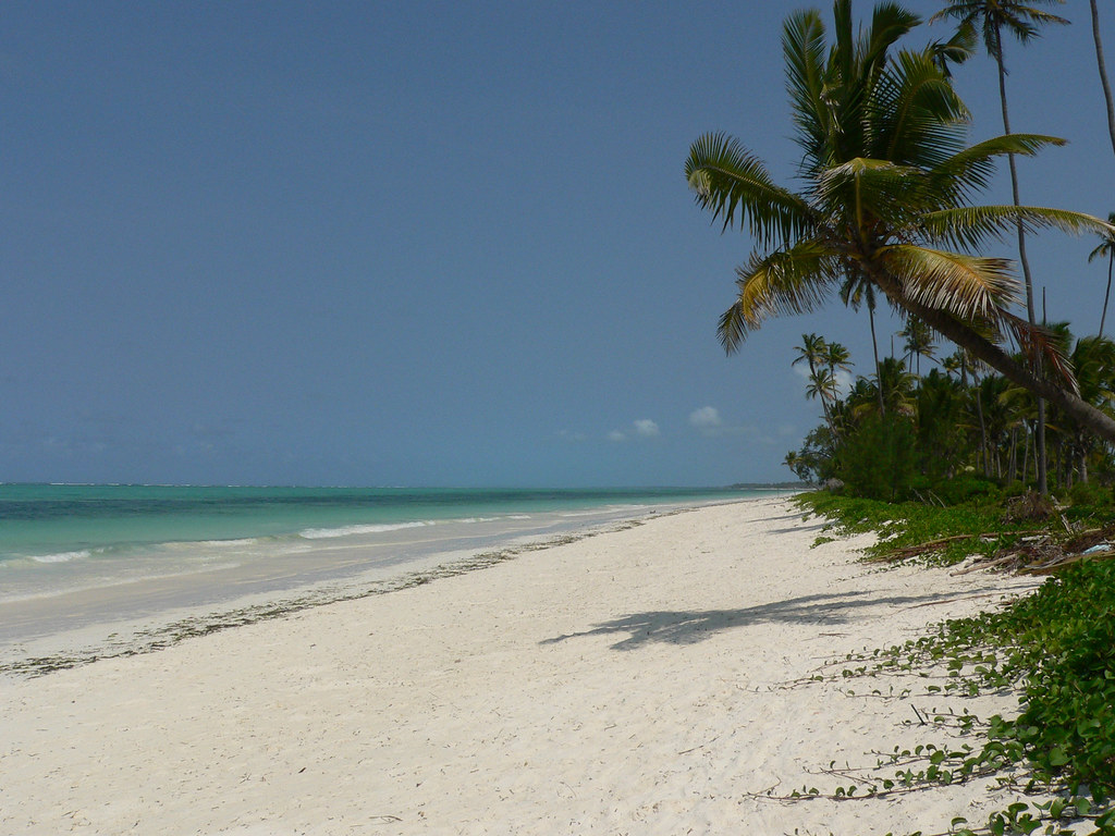 Diani beach experience